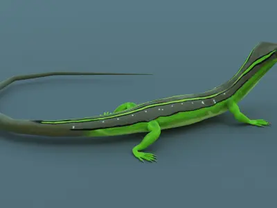 Lizard - Low Poly - Game Ready - PBR - Rigged - PBR