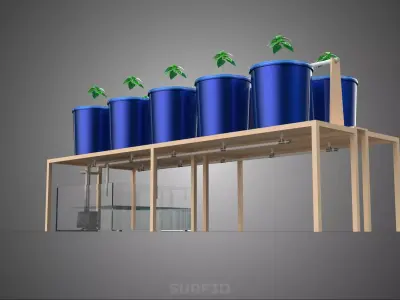 DIY GREENHOUSE BATO DUTCH BUCKET HYDROPONIC SYSTEM PLANT ARRAY 3D model