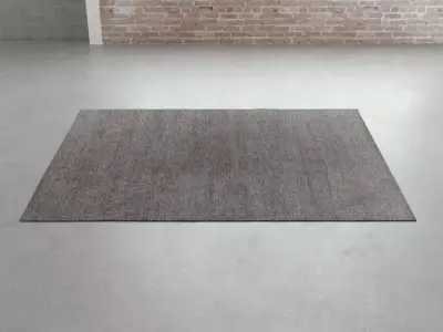 Sathi Plain ZT16 Carpet 3D model