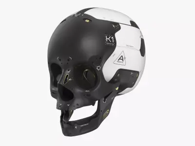 Artificial Skull 3D model