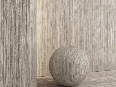 Decorative plaster 55 Texture