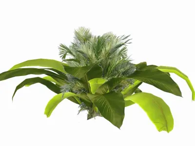 Banana Plant Low-poly 3D model