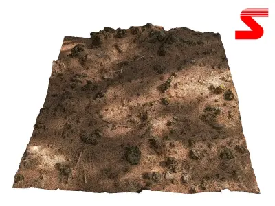 Forest litter  Low-poly 3D model