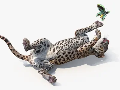  Playful Leopard Cub with Butterfly 