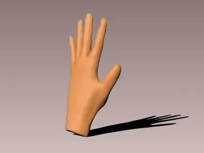 Cartoon Hand model Low-poly 3D model