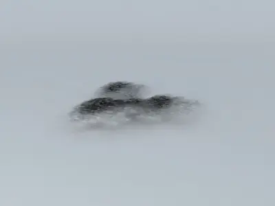 Highway cat in snow Free 3D model