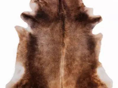 Natural Animal Cowhide Rug 3D model