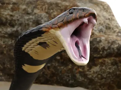  Attack Dark Skin Cobra Animated Rigged for Cinema 4D 