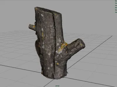 Wood Log 4 Low-poly 3D model