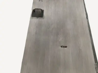 White Door 3D print model