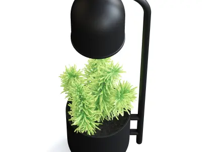 Desk Lamp with a Plant 3D model