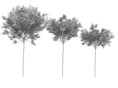 Collection plant vol 230 Free 3D model