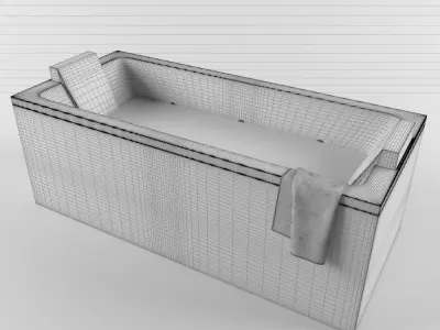 Bathtub Cum Jacuzzi  3D model