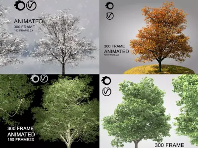 ENGLISH WALNUT 02 3D Model Collection 3D Model Pack