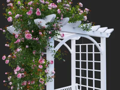 Climbing Rose - Rose Swing 3D model