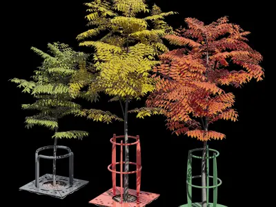 Urban tree grille 3D model