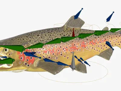  Brown Trout Fish Rigged For Blender 