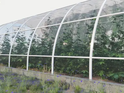 Cannabis Greenhouse with Plants 3D model