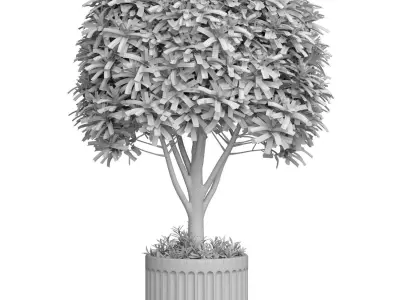 Decorative tree in a modern black  pot vase urn 3D model