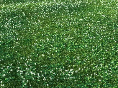 white Clover lawn 3D model