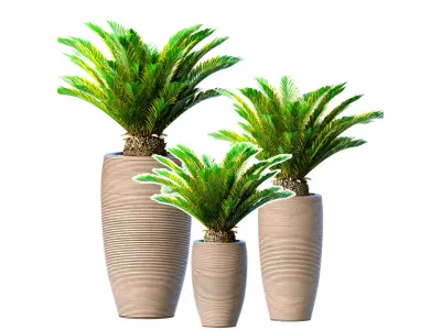 Decorative evergreen Cycas palm modern high floor vase Art Deco 3D model