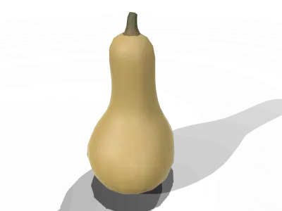 Squash Butternut