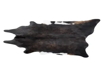 Animal skin rug 10 3D model