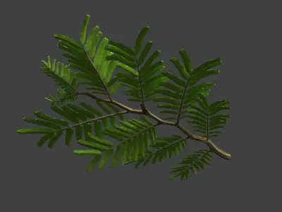 Leaf Model Low-poly 3D model