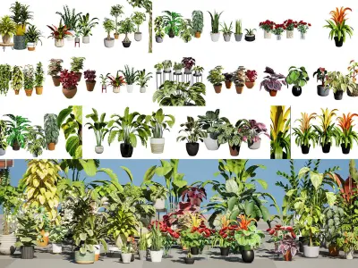 Houseplants 3d Assets Collection 3D Model Pack