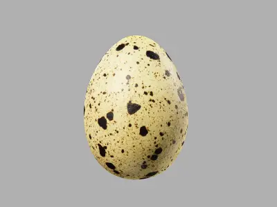 Three Quail Eggs - Photorealistic Scan Low-poly 3D model
