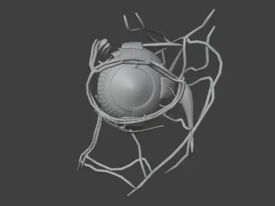 3D Model of Complete Eye Anatomy 3D print model
