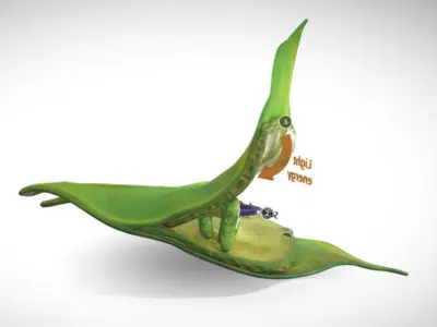 photosynthesis process Low-poly 3D model