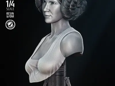 STAR WARS Leia New Hope Portrait Bust 3D print model