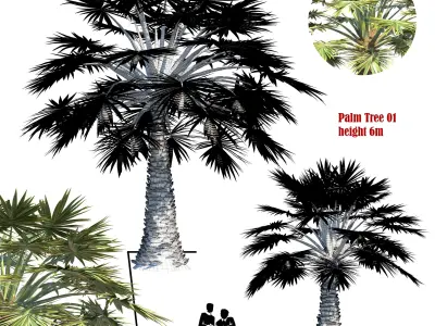 palm tree set 02 3D model