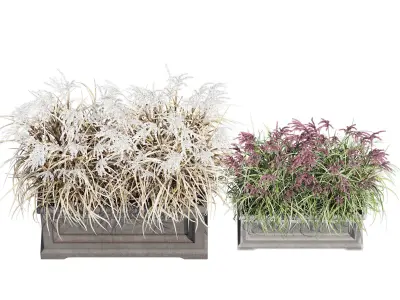 Le Notre Rectangle 3D model