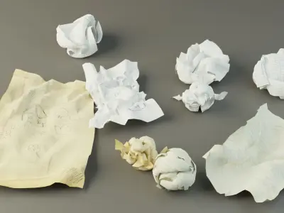 Crumpled Paper Pack Low-poly 3D model