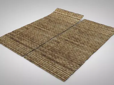 Old Palm Leave Mat 3D model