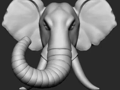 Elephant Head 3D print model