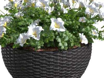 Hanging basket flowerpot rattan pot with flowers 3D model
