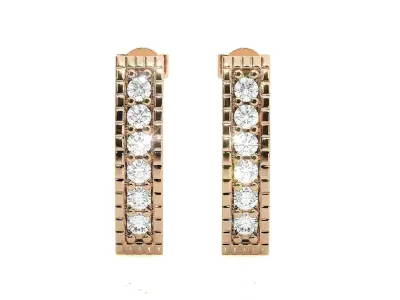 Light wt Women Diamond Earrings  3D print model
