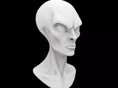 Extraterrestrial Bust 3D Print Model 3D print model