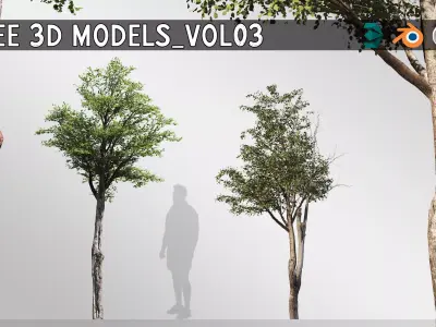Silver Birch Set-Vol 01 3D model