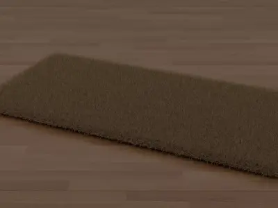 Brown Shag Rug 3D model
