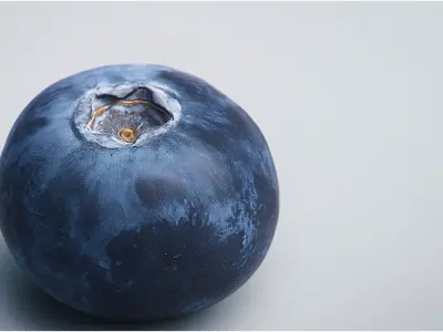 Blueberry 3D Low-poly 3D model