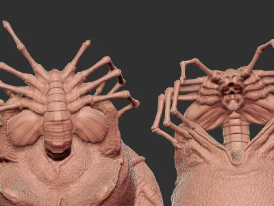 The Facehugger egg 3D print model