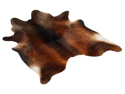 Chocolate Cowhide Rug by Hudson Hides 3D model