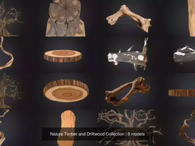 Nature Timber and Driftwood Collection 3D Model Pack