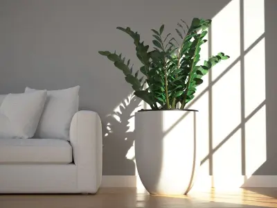 Zamifolia in Tall Round Planter 3D model