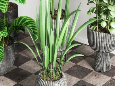 indoor plant stant 41 3D model