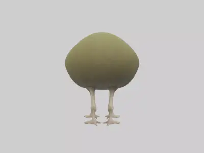 Kiwi walking on forest floor model Low-poly 3D model